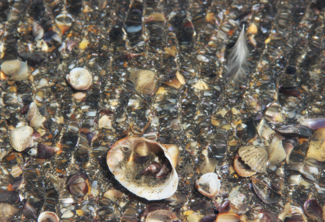 Things to do in Nabran Beach