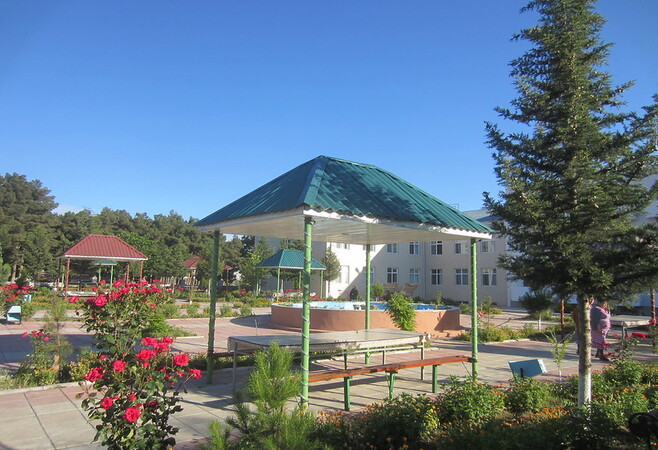 Reason to visit Naftalan